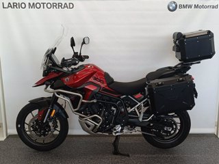 TRIUMPH Tiger 900 gt pro abs my24