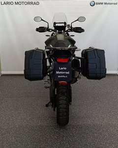 TRIUMPH Tiger 900 rally pro abs