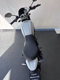 DUCATI Scrambler 800 desert sled my21
