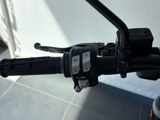 DUCATI Scrambler 800 desert sled my21