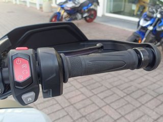 TRIUMPH Tiger 1200 gt pro abs my22