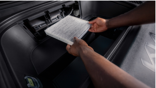 Immagine 2025 04 14 103207