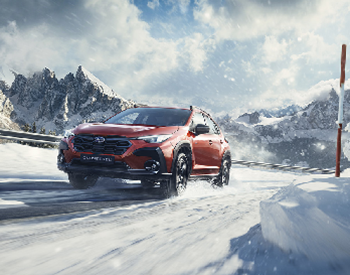 Nuovo Progetto (4) (1)