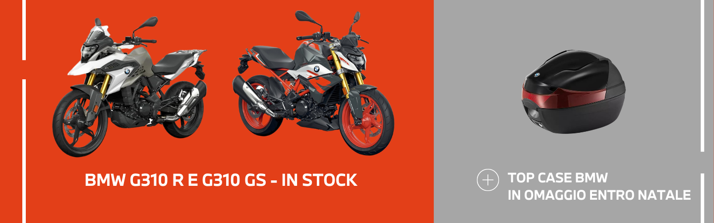 G 310 R  E  G 310 GS