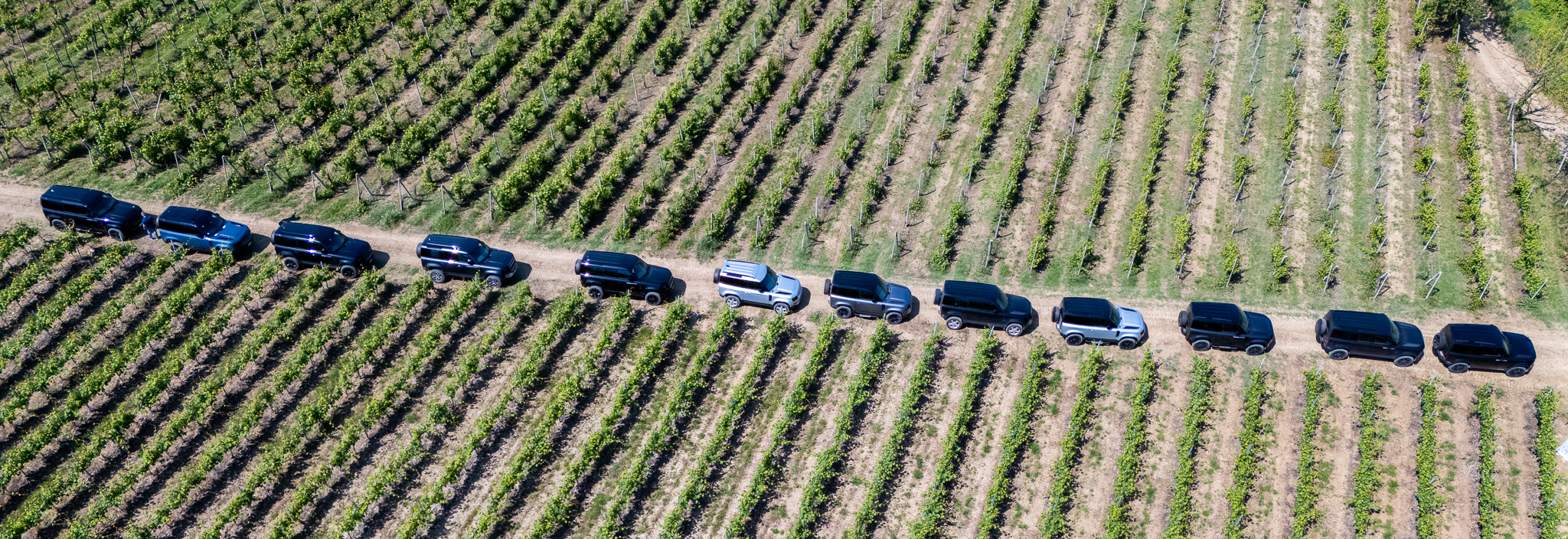 DJI 20260509123014 0115 D 2 (1)